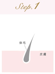 脱毛の流れステップ1
