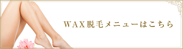 ワックス(WAX)脱毛メニューへ