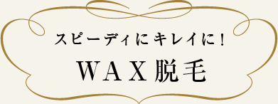 スピーディにキレイにWAX(ワックス)脱毛