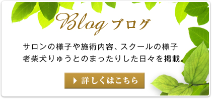 所沢の脱毛サロンp-nap(ピーナップ)のブログはこちら