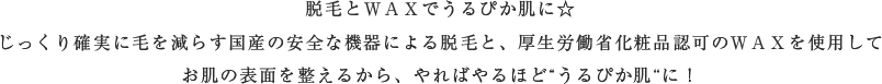 脱毛とＷＡＸ脱毛でうるぴか肌に。