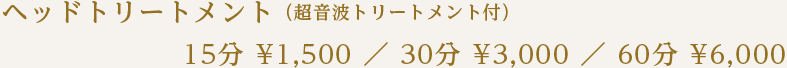 ヘッドトリートメント（超音波トリートメント付）¥1,500～