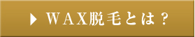 所沢の脱毛サロンp-nap(ピーナップ)のWAX(ワックス)脱毛とは？