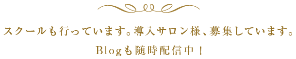 スクールも行っています。導入サロン様、募集しています。Blogも随時配信中！